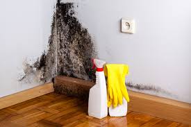 Best Mold Prevention Services  in Polk City, FL